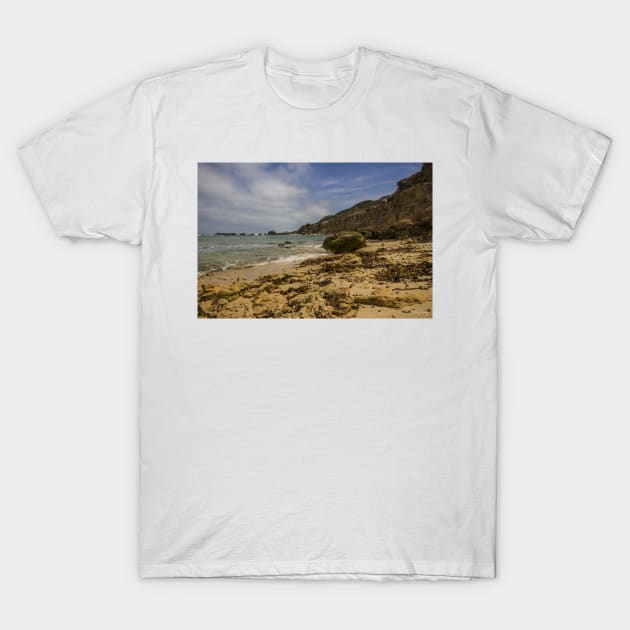 Fingal Beach, Cape Schanck, Mornington Peninsula, Victoria, Australia. T-Shirt by VickiWalsh